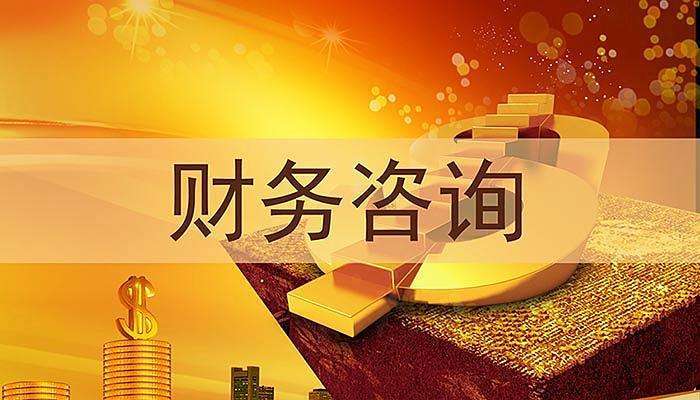 西藏财务咨询